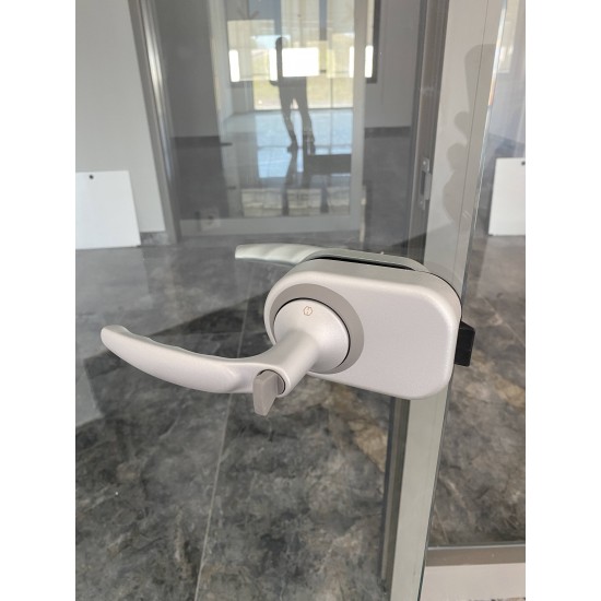 Hoppe Atlanta HCS GDA1530 Kapı Kolu-Mandal / Kırmızı-Yeşil Cam Cama Set